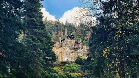 Newcastle's Hidden Gem: A Fall Trip to Cragside — traveler post in Morpeth