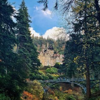 🍁뉴캐슬의 숨겨진 보석, 크래그사이드 가을 여행