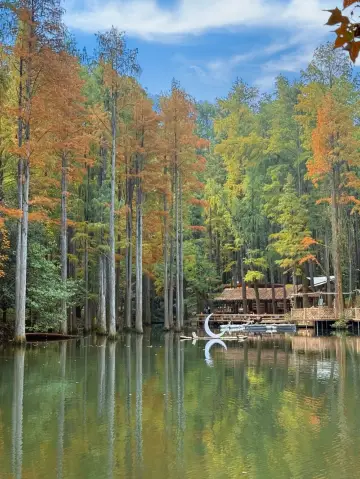 武漢自駕2.5h！闖入波爾登森林的秋日童話