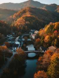 帶娃衝光霧山紅葉+遛娃兩不誤！