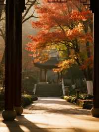 棲霞山親子攻略!歷史+美景雙豐收