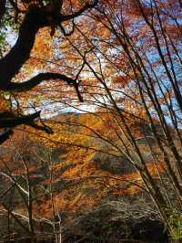 勉縣秋色的隱秘角落！雲霧山徒步解鎖神仙瀑布   必衝理由：  紅葉與瀑布的視覺暴擊！無人