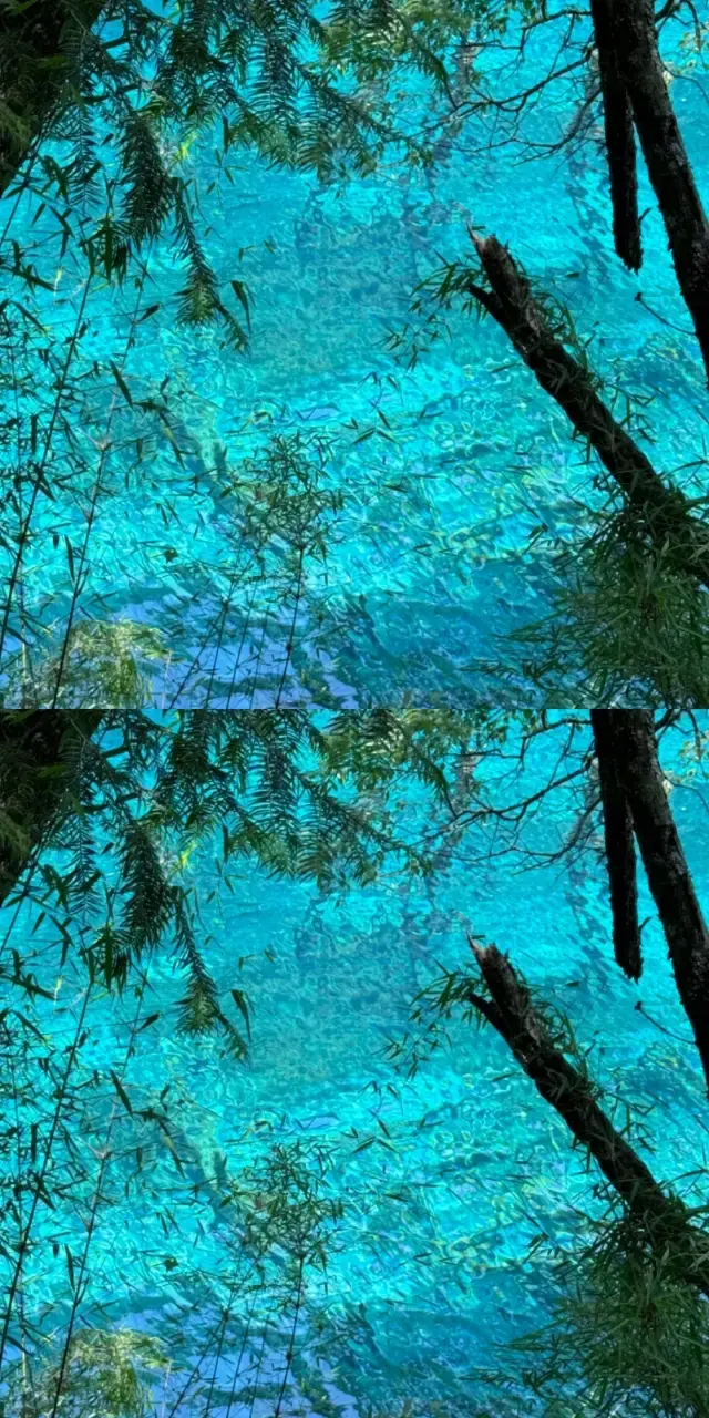 For those of you who have never been to Jiuzhaigou, it's hard to explain