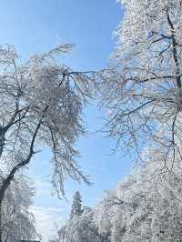 廬山第一場霧淞真的太美了