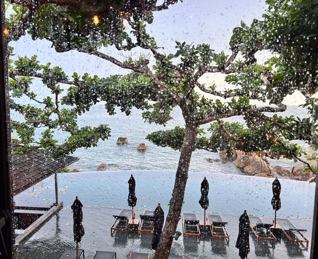 Luxurious and Spacious Hotel Delight