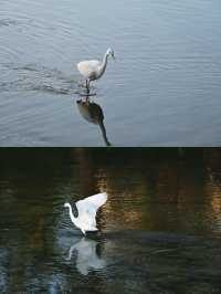 浙江麗水 | 縉雲松陽·江南最後的秘境