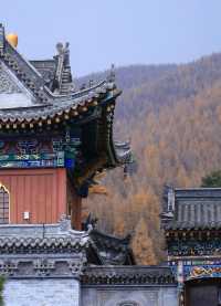 【鴻達酒店,比家還舒坦的歇腳地兒!】