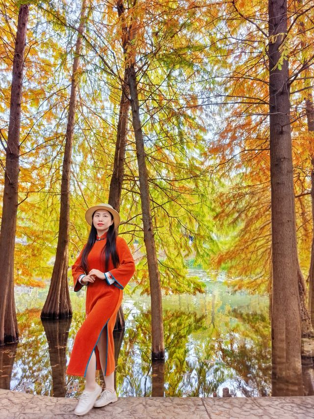 尊嘟紅了本週末就衝明孝陵燕雀湖