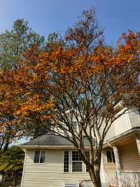 南京綠博園 拍照打卡休閒觀景溜娃走起來