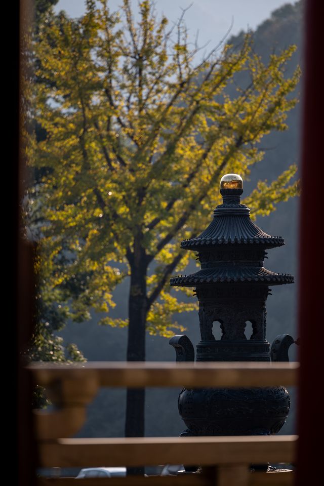 【長安荔枝香山遊，禪意旅途正當時】