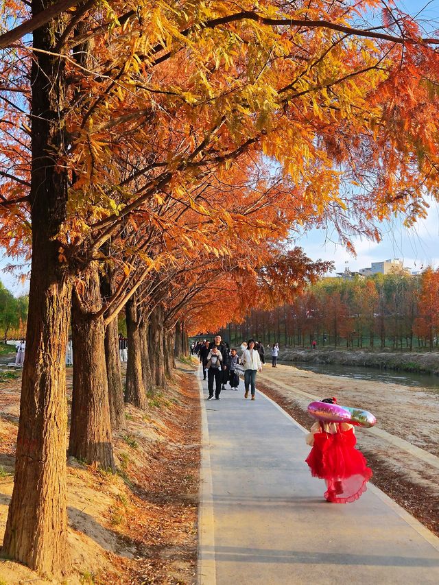 “塞納河”畔曬太陽 “塞納河”畔曬太陽