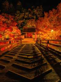 爆美！！！奈良室生寺紅葉燈光展·小眾秘境打卡指南