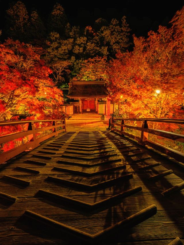爆美！！！奈良室生寺紅葉燈光展·小眾秘境打卡指南