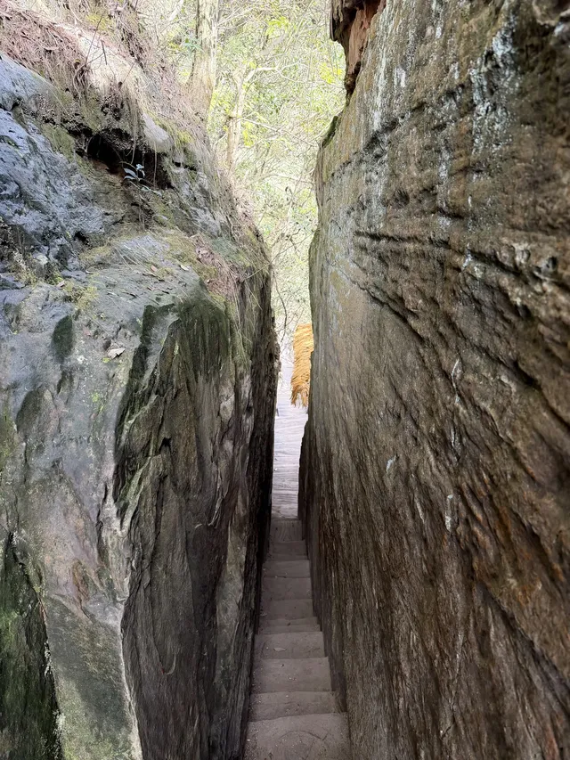 [11.05]跌宕起伏的張家界森林公園·攻略參考