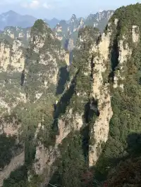 [11.05]跌宕起伏的張家界森林公園·攻略參考