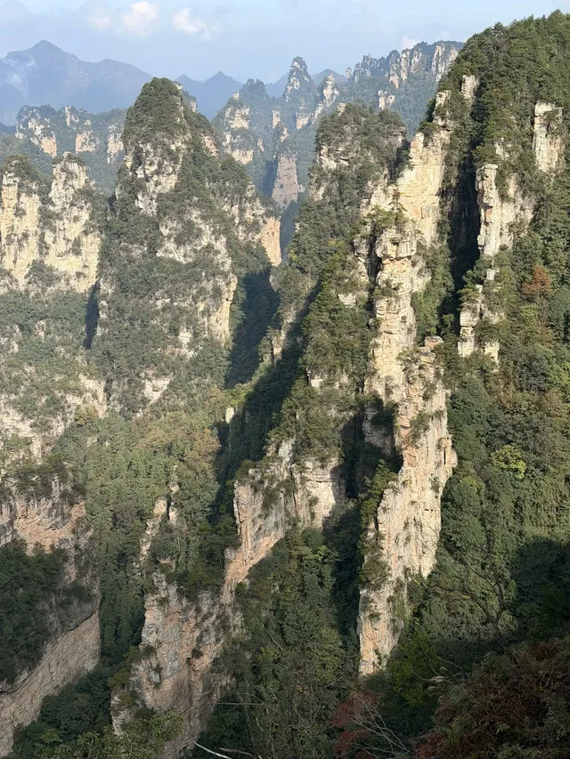 [11.05]跌宕起伏的張家界森林公園·攻略參考