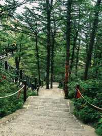 山海仙境崂山，包車自在暢遊