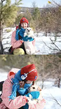 去了沒有雪松的樺皮嶺,想看你們拍的雪松