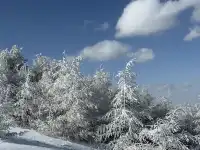 不是北歐，勝似北歐！雪後樺皮嶺