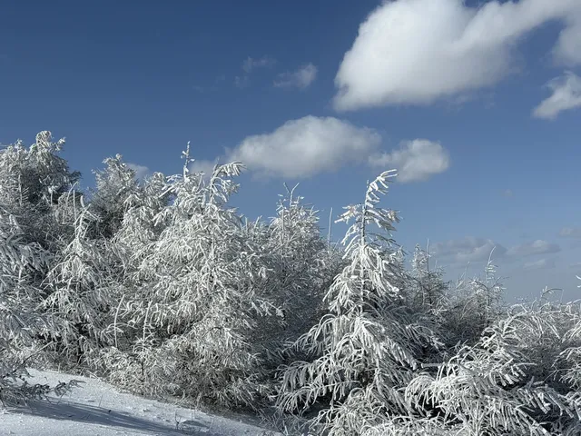 不是北歐，勝似北歐！雪後樺皮嶺