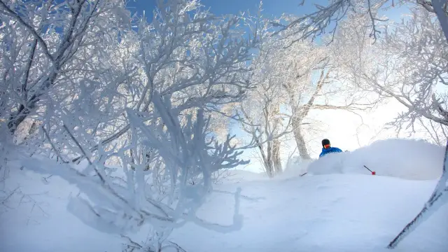 北海道札幌手稻滑雪場私人滑雪教練服務