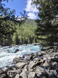 秋日限定阿勒泰地區等地美到失語快衝