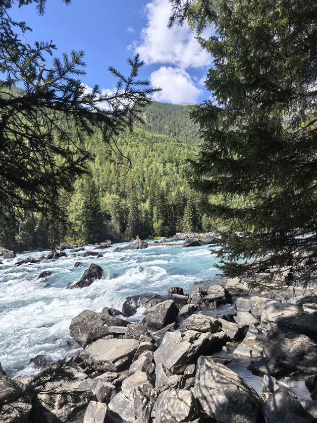秋日限定阿勒泰地區等地美到失語快衝