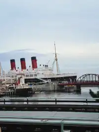 東京迪士尼11月19日開園時間人流量預測