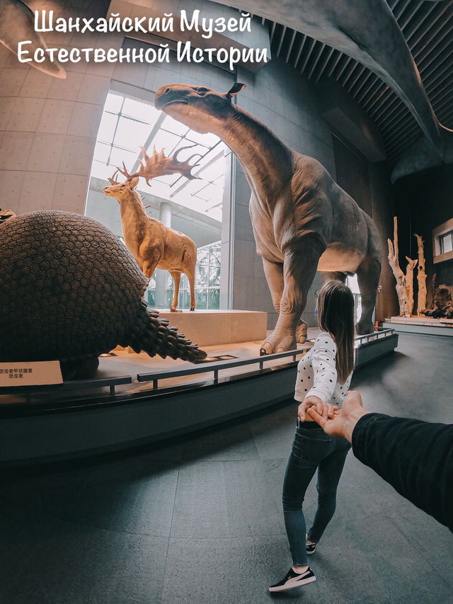 Самый красивый Шанхайский музей природы 🦖🇨🇳
