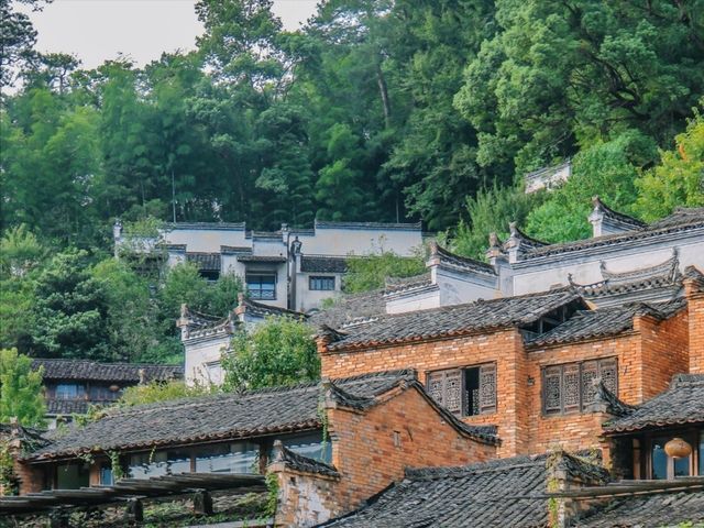 三清山血淚省力攻略｜攬五嶽之秀，藏絕景於此