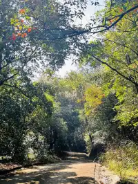 每週一山｜藏在江門的治癒系神山！