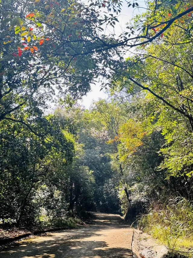 每週一山｜藏在江門的治癒系神山！