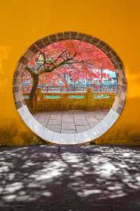 常熟｜興福禪寺紅楓，才是江南秋色的天花板！