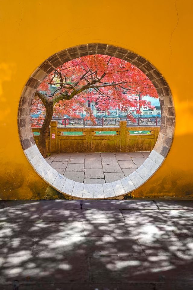 常熟｜興福禪寺紅楓，才是江南秋色的天花板！