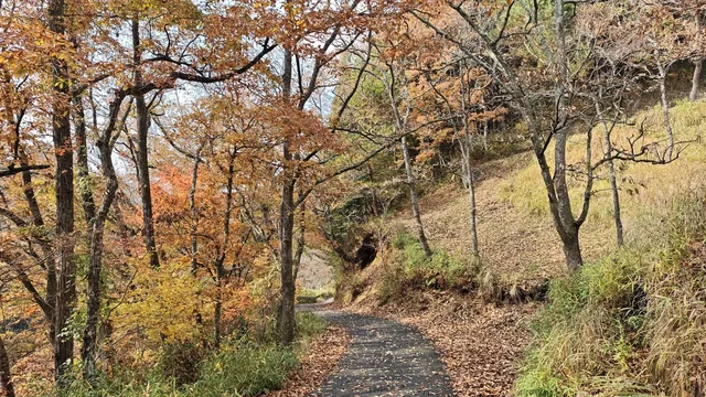 在紅葉季的黑川溫泉徒步 11.24&25 美不勝收 在紅葉季的黑川溫泉徒步 11.24&25 美不勝收