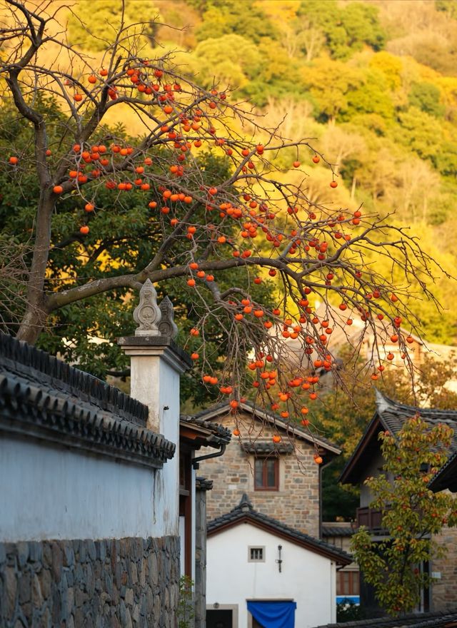 稷山縣周邊旅遊景點大全圖片 稷山縣周邊旅遊景點大全圖片