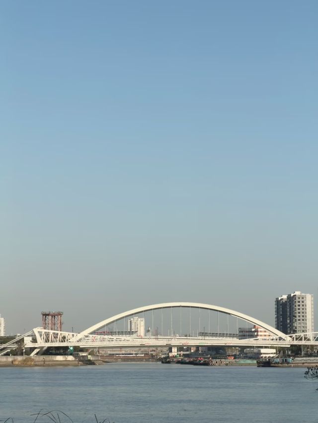 上海小眾浪漫地粉紅聖誕樹+星河街景絕絕子 上海小眾浪漫地粉紅聖誕樹+星河街景絕絕子