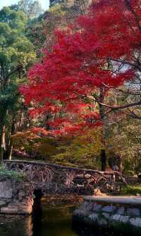 嶽麓山懶人一日遊攻略（超詳細版）