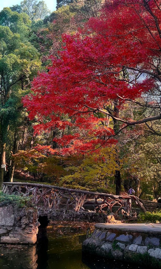 嶽麓山懶人一日遊攻略（超詳細版）