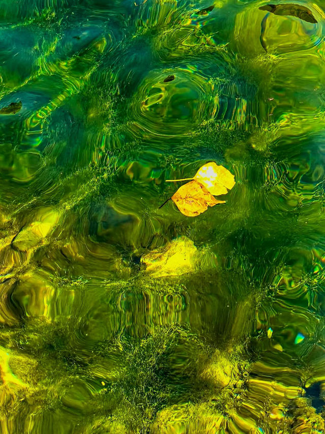 上饒三日賞秋攻略說好這篇就夠了！