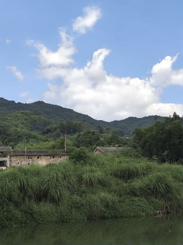 廈門1日包車遊 這些地方美到哭