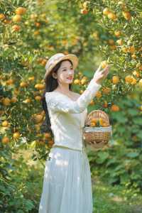 週末遛娃必去橘子園