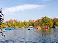 超全攻略!冬日共青森林公園賞秋絕了