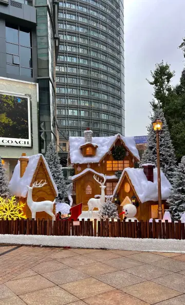 Christmas trip to Kunming! Collide with seagulls in an autumn golden fairy tale