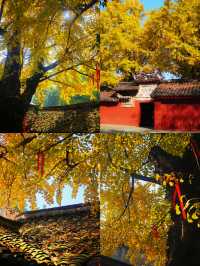 廣漢3日深度遊攻略探源古蜀+溫泉+美食,高鐵18min直達