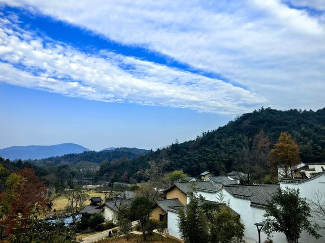 冬棲暖境,歲末安隅 冬棲暖境,歲末安隅