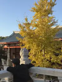 美得不像在莆田!朋友圈都在問的超絕秋景