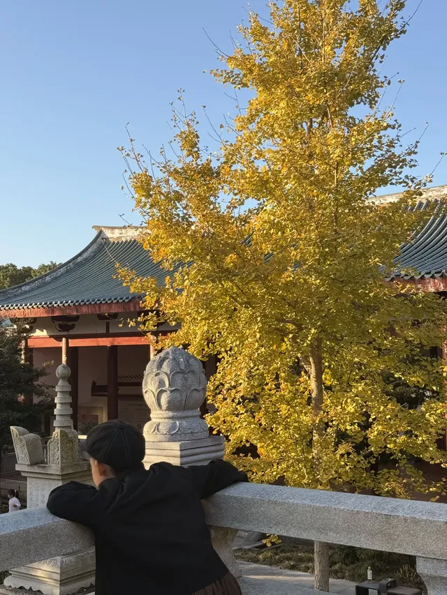 美得不像在莆田!朋友圈都在問的超絕秋景 美得不像在莆田!朋友圈都在問的超絕秋景