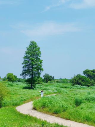 In Hangzhou! Don’t just see it as a relic site! The hidden attractions of Liangzhu Park are stunningly beautiful!