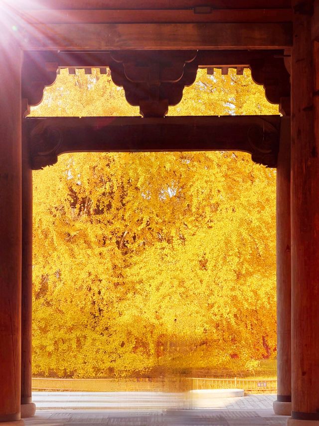 江浙滬嚴重被低估的寶藏古鎮!!附詳細攻略! 江浙滬嚴重被低估的寶藏古鎮!!附詳細攻略!